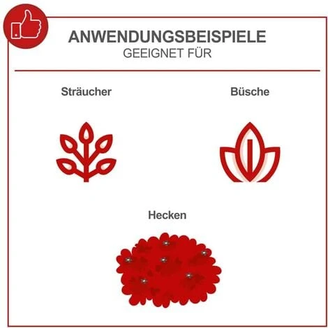 Scheppach Benzin Heckenschere 1PS Motorheckenschere Länge 60cm Ø27mm HTH250/240P 4 Scheppach Benzin Heckenschere 1PS Motorheckenschere Länge 60cm Ø27mm HTH250/240P – Bild 2