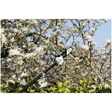 Pack SCHEPPACH Elektro-Häcksler - 2400 W - 2 Auffangbeutel - GS55 - ProCut 4-in-1-Multifunktionswerkzeug - 1,8 PS - MFH 5 Pack SCHEPPACH Elektro-Häcksler - 2400 W - 2 Auffangbeutel - GS55 - ProCut 4-in-1-Multifunktionswerkzeug - 1,8 PS - MFH – Bild 3